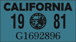 1981 YEAR STICKER ON CALIFORNIA LICENSE PLATE